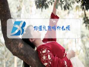 你懂礼貌吗什么梗
