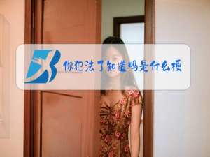 你犯法了知道吗是什么梗