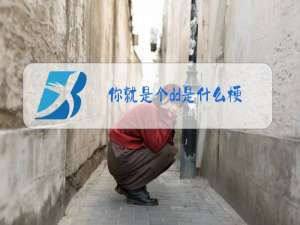 你就是个dd是什么梗