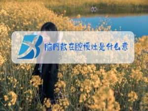 脑内散在腔梗灶是什么意思