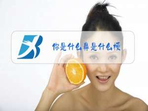 你是什么鼻是什么梗