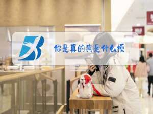 你是真的狗是什么梗