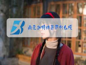 南无加特林菩萨什么梗?六根清净贫铀弹出自哪里?
