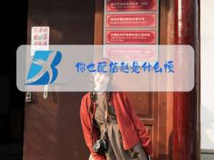 你也配信赵是什么梗