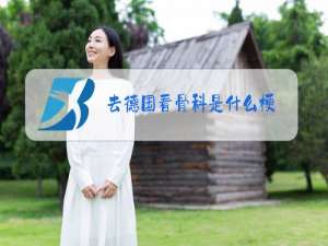 去德国看骨科是什么梗