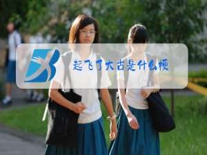 起飞了大古是什么梗