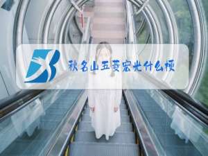 秋名山五菱宏光什么梗