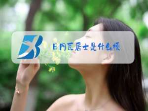 日内瓦居士是什么梗