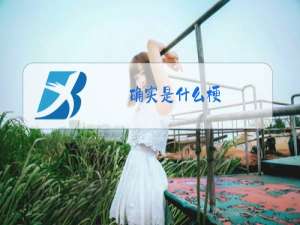 拳师是什么梗