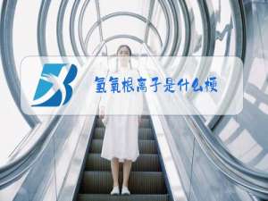 氢氧根离子是什么梗