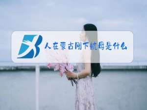 人在蒙古刚下航母是什么梗