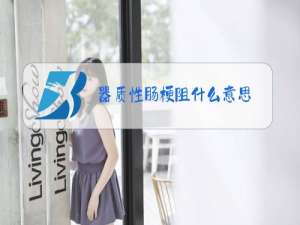 器质性肠梗阻什么意思