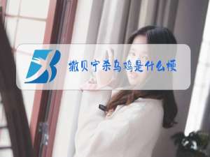 撒贝宁杀乌鸡是什么梗