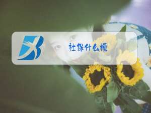 社保什么梗