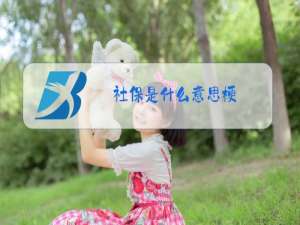 社保是什么意思梗
