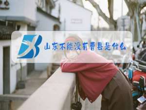 山东不能没有曹县是什么梗
