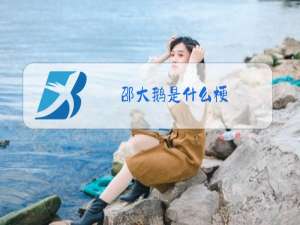 邵大鹅是什么梗