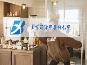 山东苛泽曹县什么梗