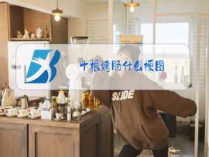十根烤肠什么梗图