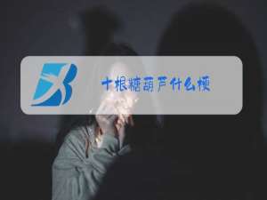 十根糖葫芦什么梗