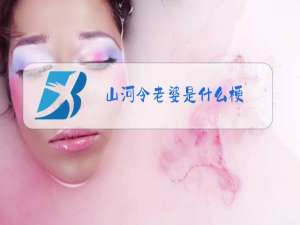 山河令老婆是什么梗