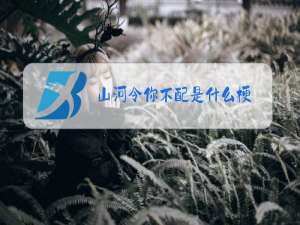 山河令你不配是什么梗