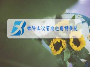 世界上没有迪迦奥特曼是什么梗
