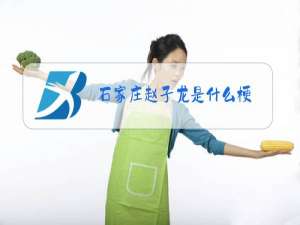 石家庄赵子龙是什么梗