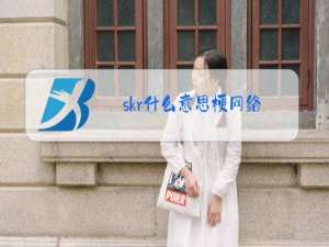 skr什么意思梗网络