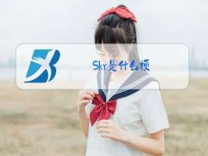 Skr是什么梗