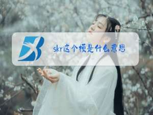 skr这个梗是什么意思