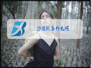 沙漠风暴什么梗
