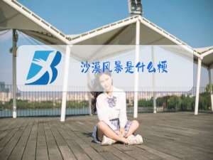 沙漠风暴是什么梗