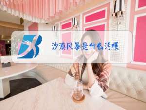 沙漠风暴是什么污梗