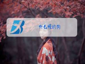 什么梗的狗