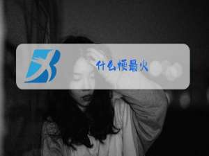什么梗最火