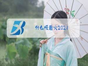 什么梗最火2021