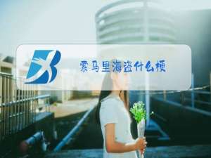 索马里海盗什么梗