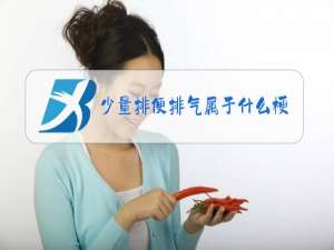 少量排便排气属于什么梗阻