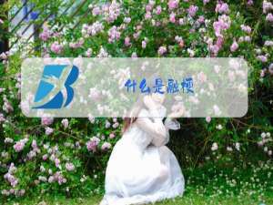 什么是融梗
