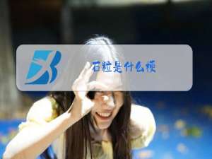 石粒是什么梗