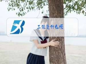 三狼是什么梗