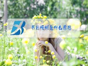 书目梗概是什么意思
