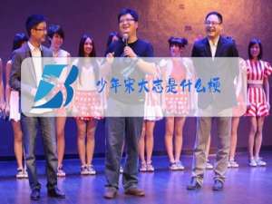 少年宋大志是什么梗