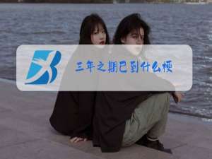 三年之期已到什么梗