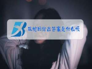 双枪回给出答案是什么梗