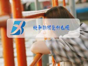 桃和鹅裤是什么梗