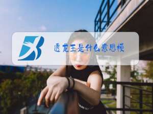 透龙王是什么意思梗