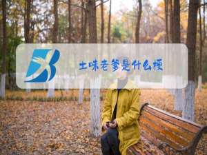 土味老爹是什么梗