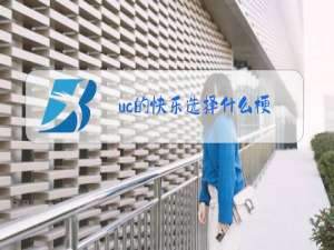uc的快乐选择什么梗